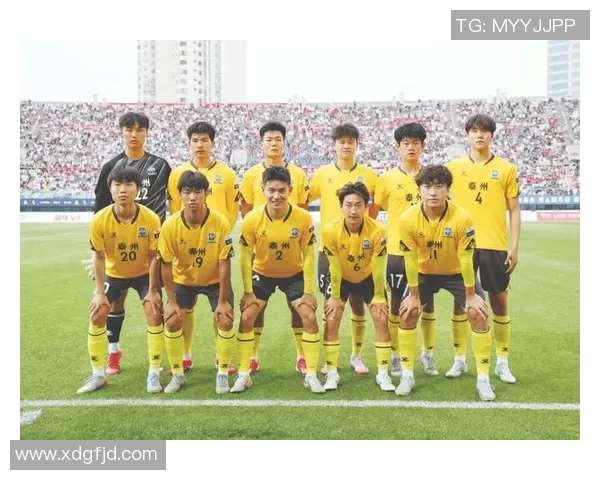 足球巨星什么瓦的传奇之路与绿茵场上的荣耀与永不言弃的奋斗精神 足球巨星什么瓦的传奇之路与绿茵场上的荣耀与永不言弃的奋斗精神