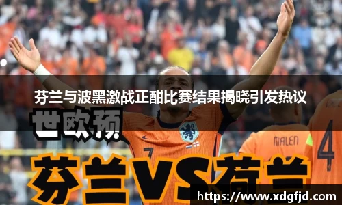 芬兰与波黑激战正酣比赛结果揭晓引发热议